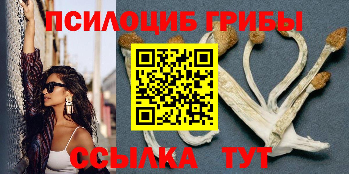 Псилоцибиновые грибы ЛСД Энгельс