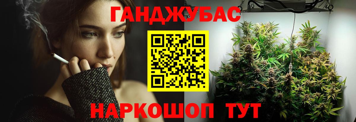 Каннабис индика Энгельс