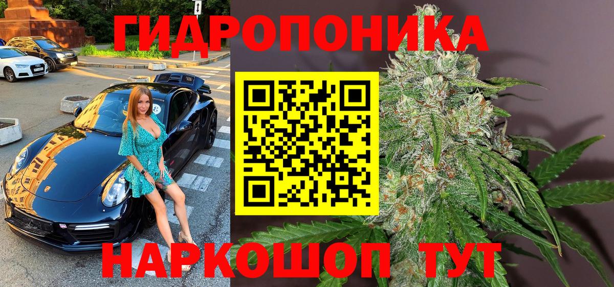 Энгельс  Шишки марихуана Ganja  Шишки марихуана тримм  Канабис Bruce Banner  Марихуана марихуана  Вход с VPN 